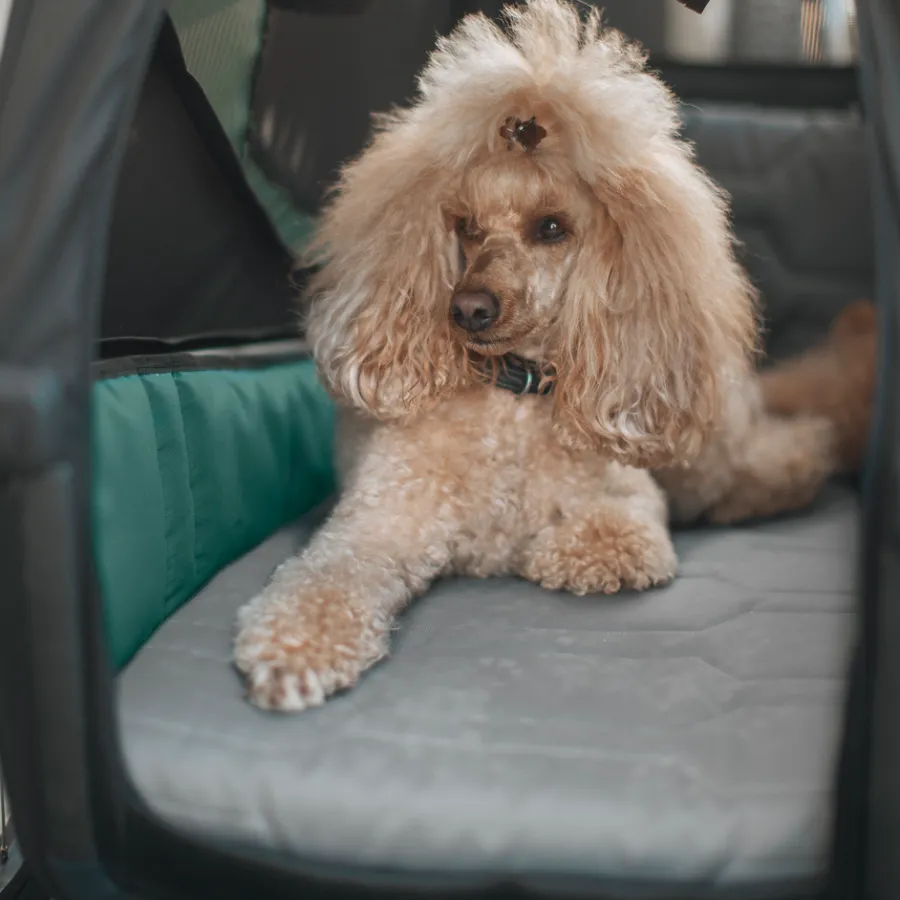 Thule Hondenaccessoires|Fietstrailers Voor Honden-Bexey dog bed L