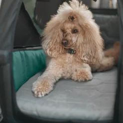 Thule Hondenaccessoires|Fietstrailers Voor Honden-Bexey dog bed M