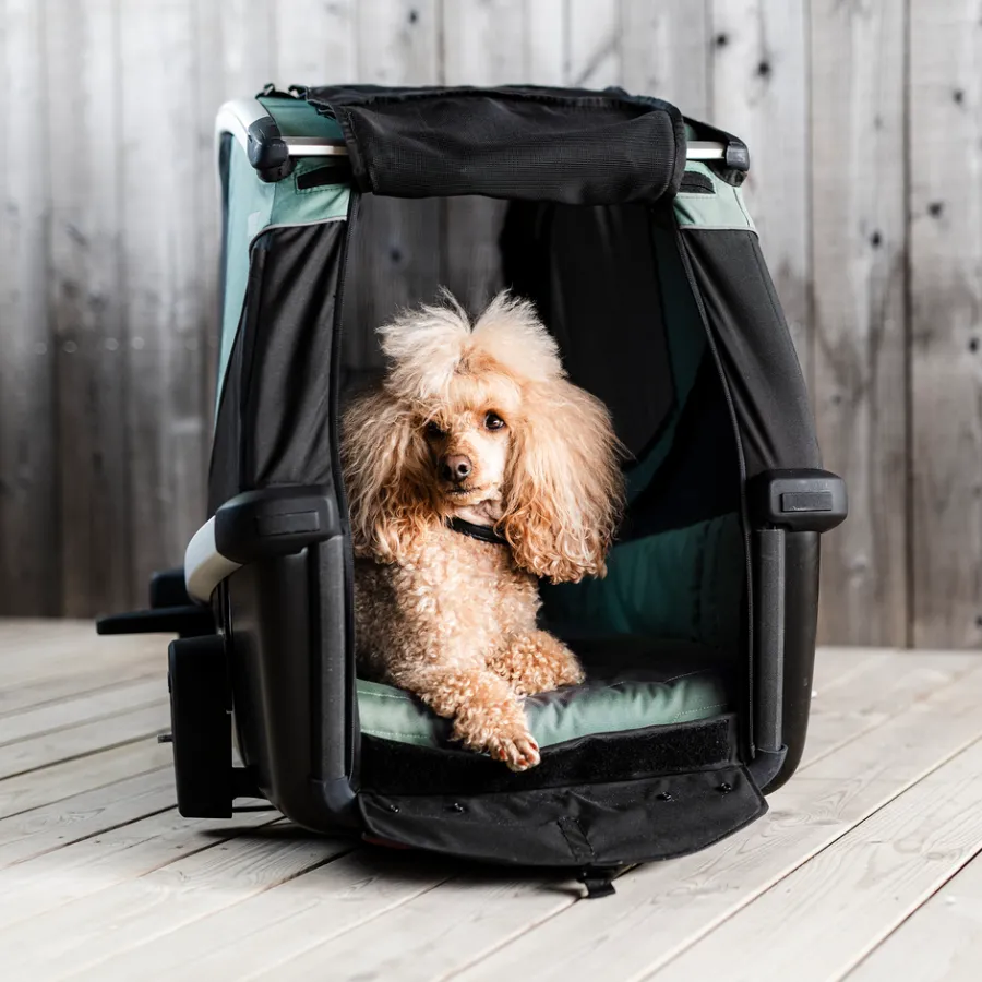 Thule Fietstrailers Voor Honden|Fietstrailers Voor Honden-Bexey M