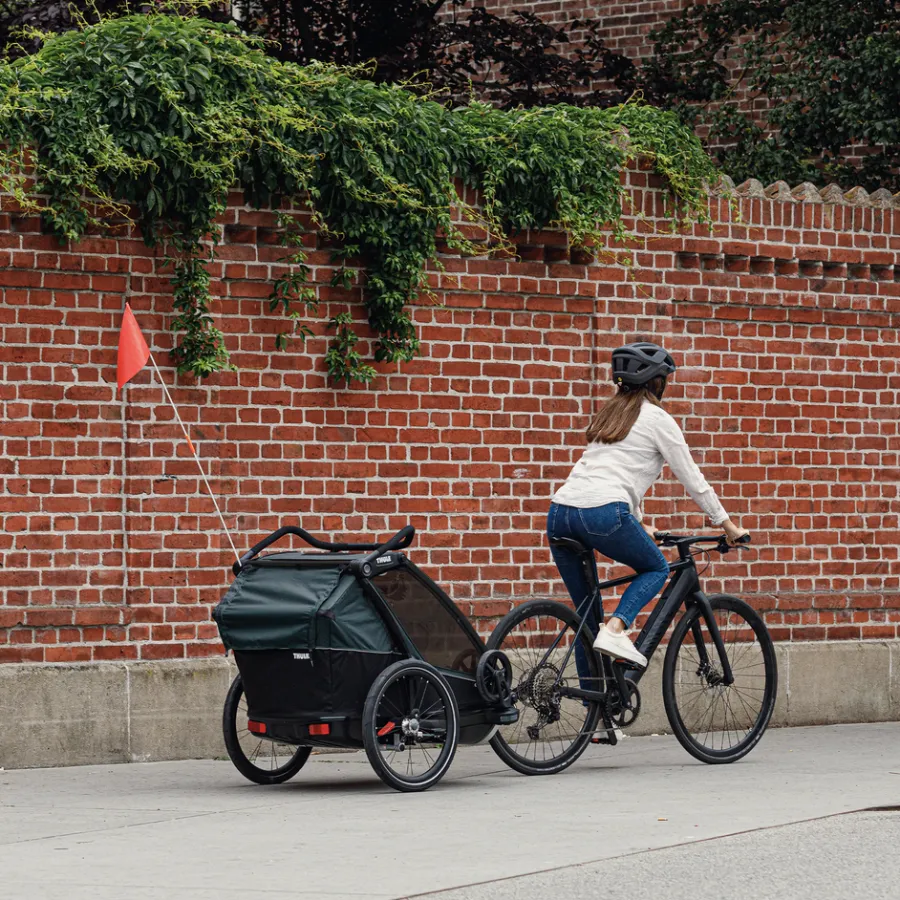 Kinderen Thule Fietstrailers Voor Kinderen|Fietstrailers Voor Kinderen-Chariot Cab