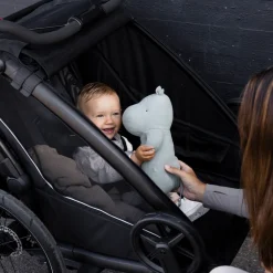 Kinderen Thule Fietstrailers Voor Kinderen|Fietstrailers Voor Kinderen-Chariot Sport 2 single