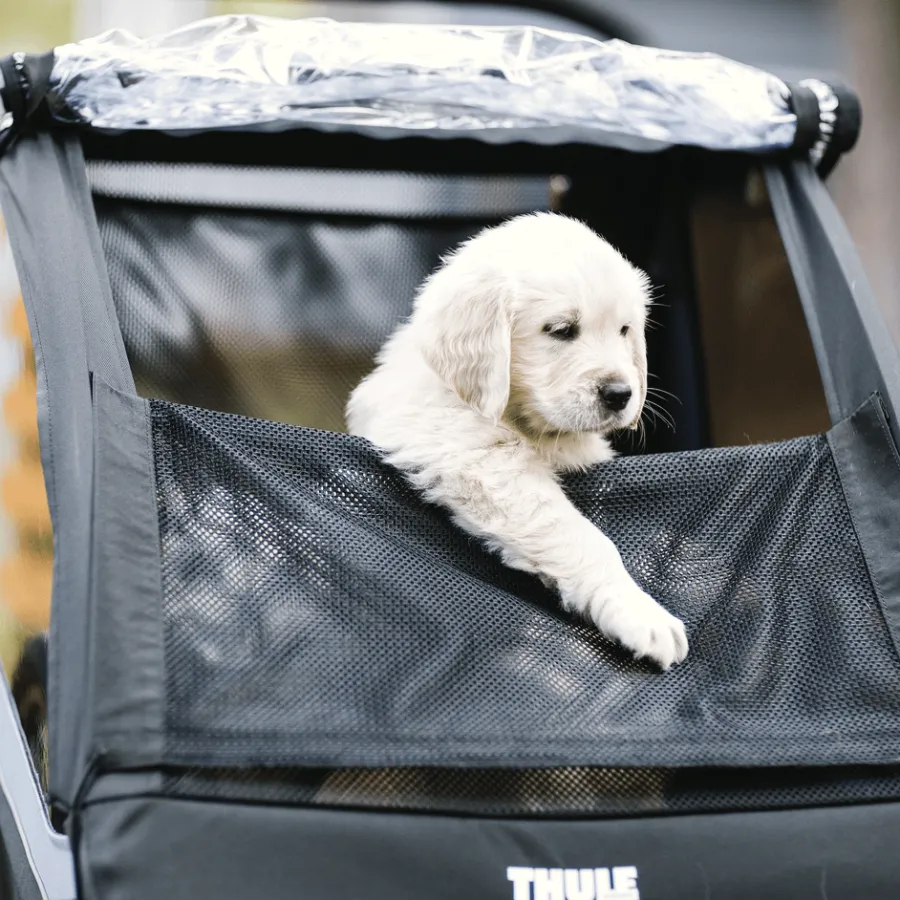 Kinderen Thule Fietstrailers Voor Honden|Fietskarren Voor Bagage-Courier