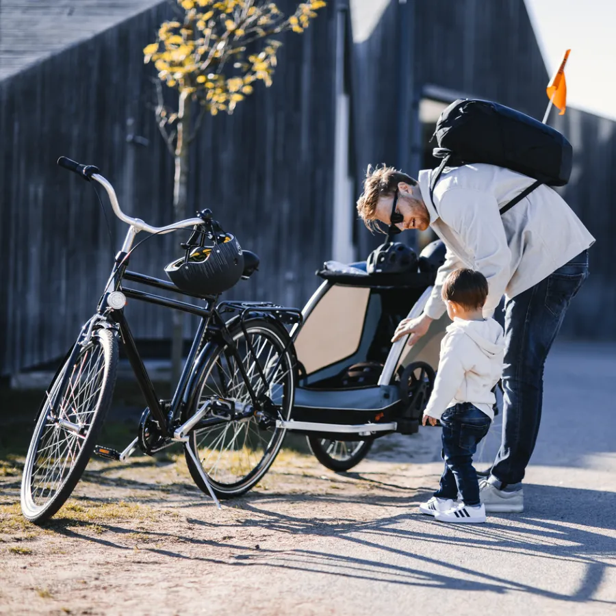 Kinderen Thule Fietstrailers Voor Honden|Fietskarren Voor Bagage-Courier