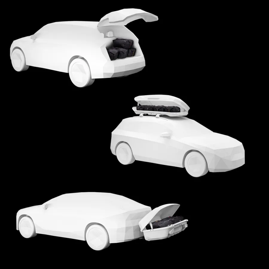 Thule Duffeltassen|Accessoires Voor Bagageboxen-GoPack Duffel Set