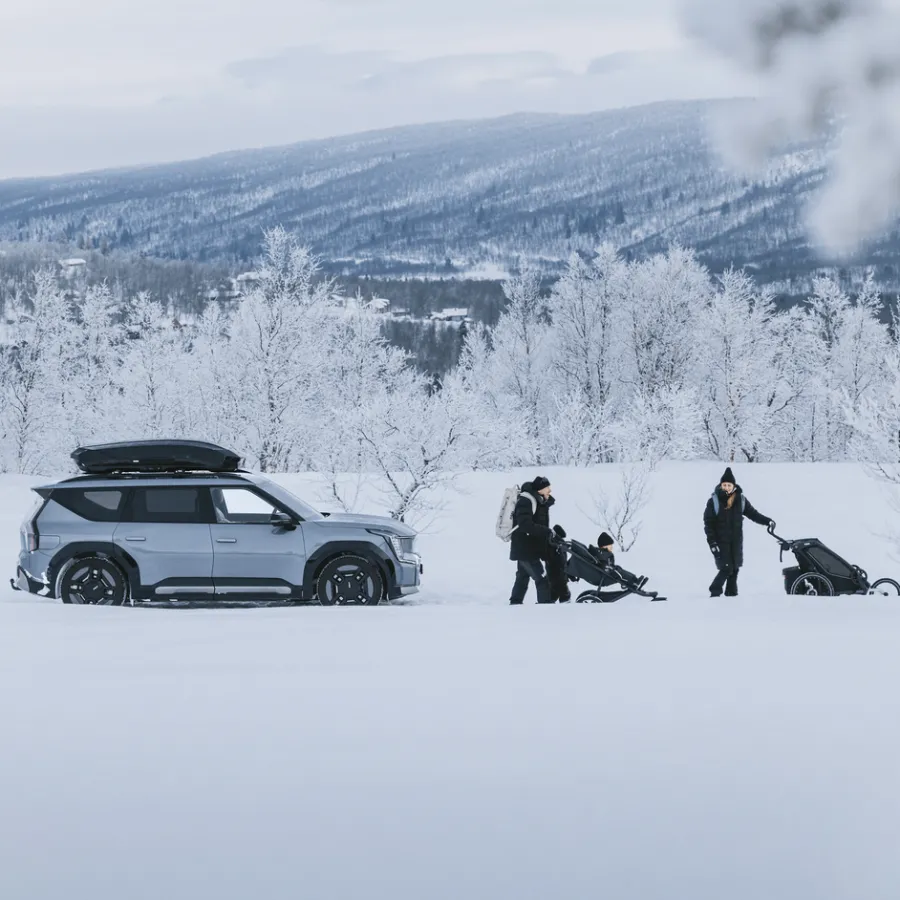 Thule Dakkoffers-Motion 3 Sport