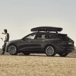Thule Dakkoffers-Vector L